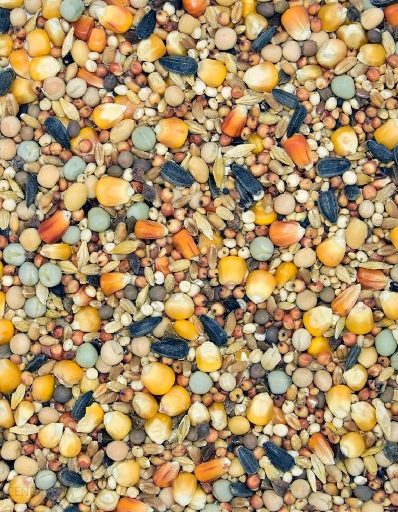 i-karma-pierzeniowa-mdm-p-25-kg-dla-golebi-pierzenie