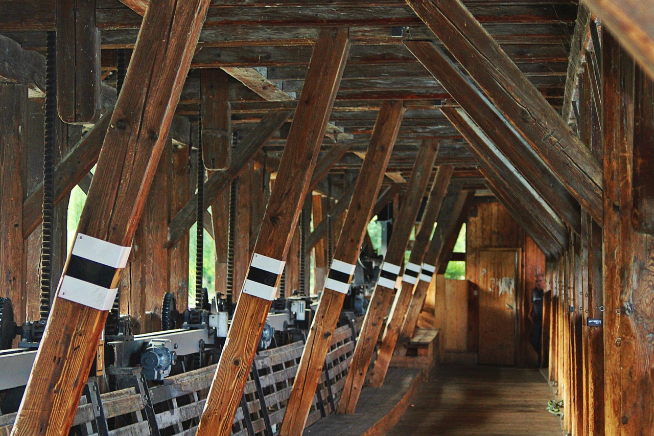 Grunt odcinający w pielęgnacji drewna 